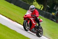 PJ-Motorsport-Photography-2020;anglesey;brands-hatch;cadwell-park;croft;donington-park;enduro-digital-images;event-digital-images;eventdigitalimages;mallory;no-limits;oulton-park;peter-wileman-photography;racing-digital-images;silverstone;snetterton;trackday-digital-images;trackday-photos;vmcc-banbury-run;welsh-2-day-enduro